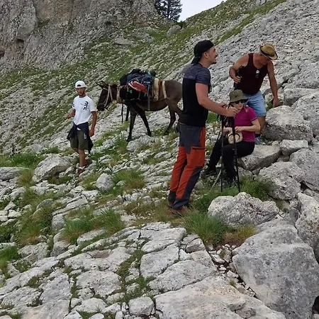 Qafe Dardha - Tomorr National Park Qafe Dardhe