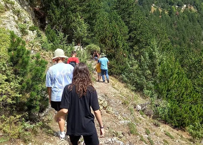 Qafe Dardha - Tomorr National Park بيت ضيافة