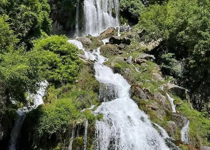 بيت ضيافة Qafe Dardha - Tomorr National Park