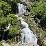 Maison d'hôtes Qafe Dardha - Tomorr National Park