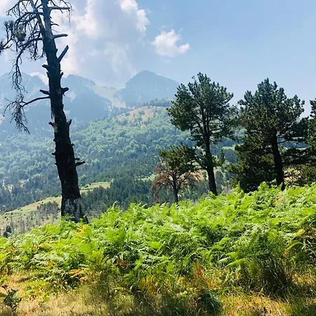 Деревянный коттедж Qafe Dardha - Tomorr National Park