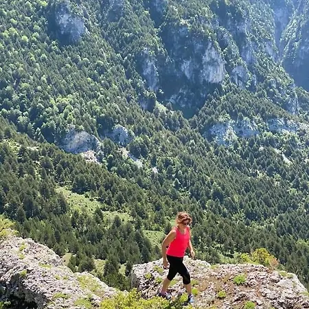 Qafe Dardha - Tomorr National Park Деревянный коттедж Qafe Dardhe