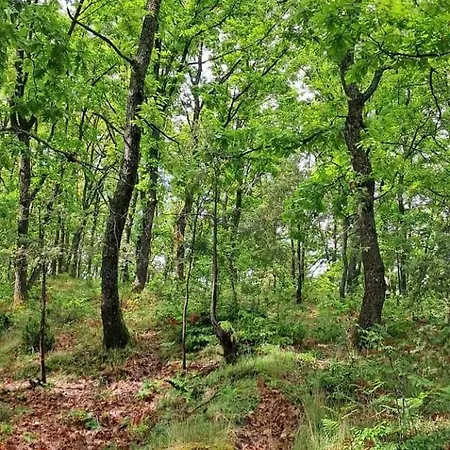Qafe Dardha - Tomorr National Park ロッジ